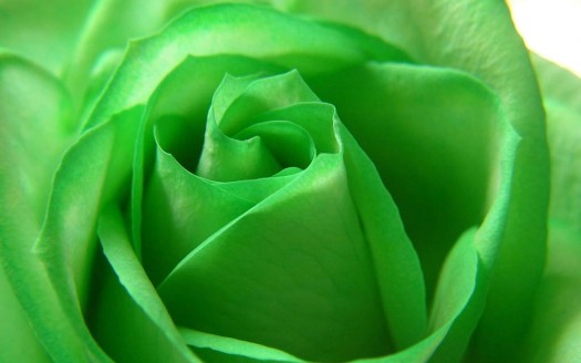 “Sgonfiamoci” con i verdi di primavera!